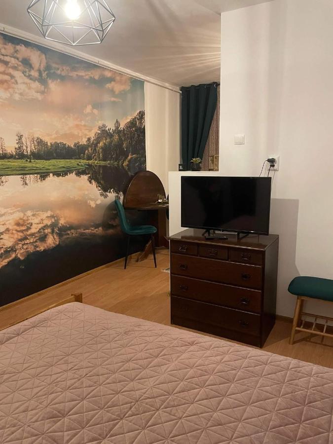 Cm Studio Apartment Sighisoara Exterior photo